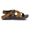 Chaco Men's Banded Z Cloud