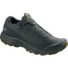 Arcteryx Men's Aerios FL GTX Shoe -Men Sportswear Store Aerios FL GTX Shoe CINDER Bushwack