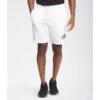 The North Face Men's Coordinates Short -Men Sportswear Store NF0A55UU FN4 hero